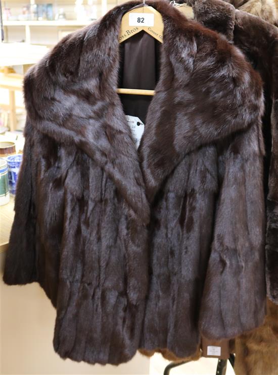 Squirrel jacket